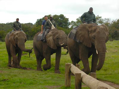Elefanten Park