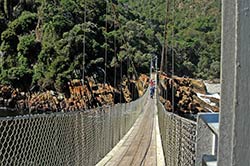Die Hängebrücke über dem Storms River Mouth im Tsitsikamma National Park nahe Plettenberg Bay.