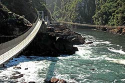 Die Hängebrücken im Tsitsikamma National Park nahe Plettenberg Bay.